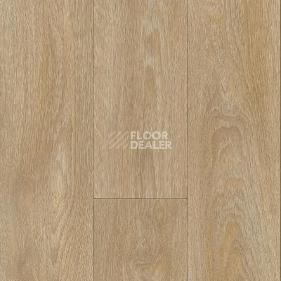 Линолеум IVC Centra ALLURE T34 фото 1 | FLOORDEALER